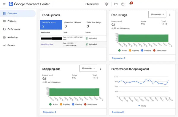 What Should You Launch First Performance Max or Standard Shopping